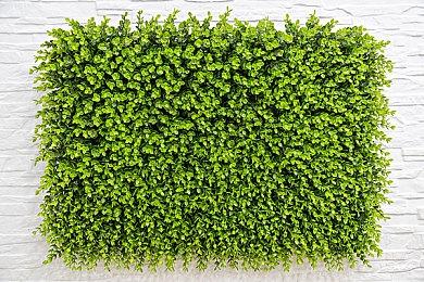 MMO射击《从军》Steam版页面上线 2024年Q1正式推出